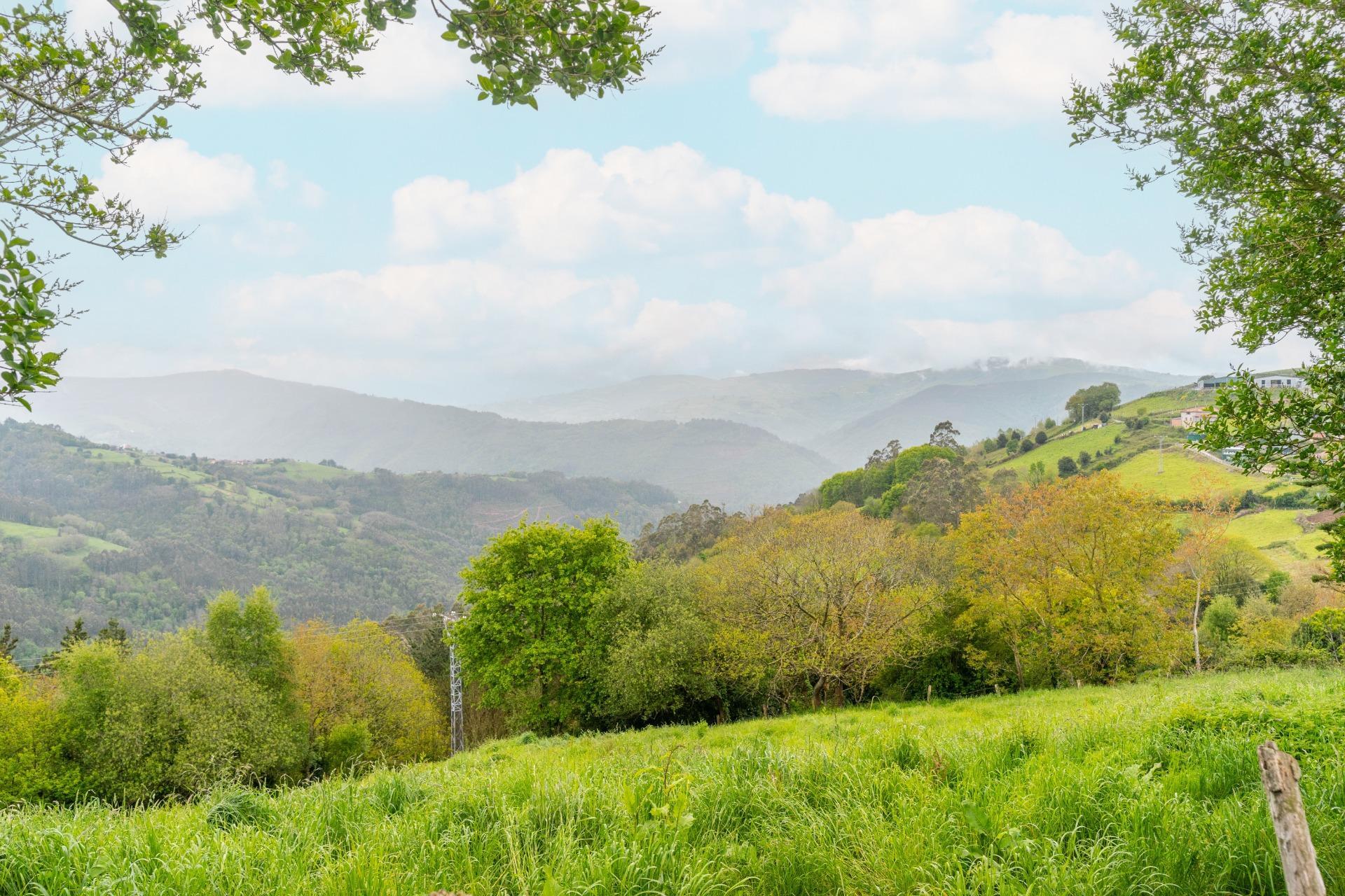 Casas o chalets-Venta-ValdÃ©s-1749313-Foto-58