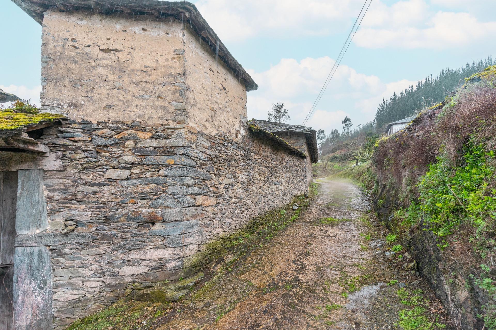 Pisos-Venta-ValdÃ©s-1683576-Foto-7