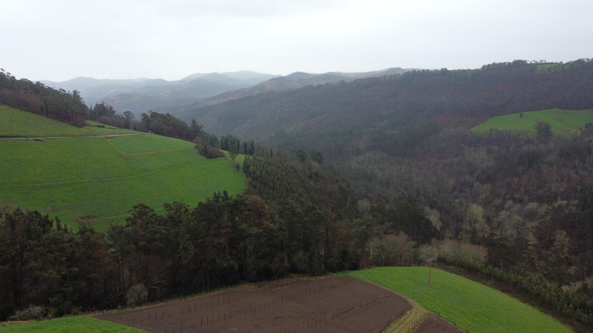 Pisos-Venta-ValdÃ©s-1683576-Foto-15