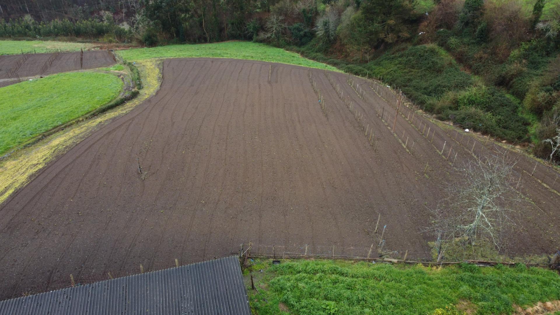 Pisos-Venta-ValdÃ©s-1683576-Foto-14