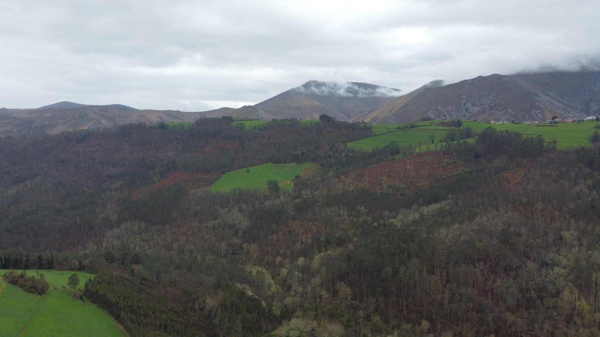 Pisos-Venta-ValdÃ©s-1683576-Foto-61