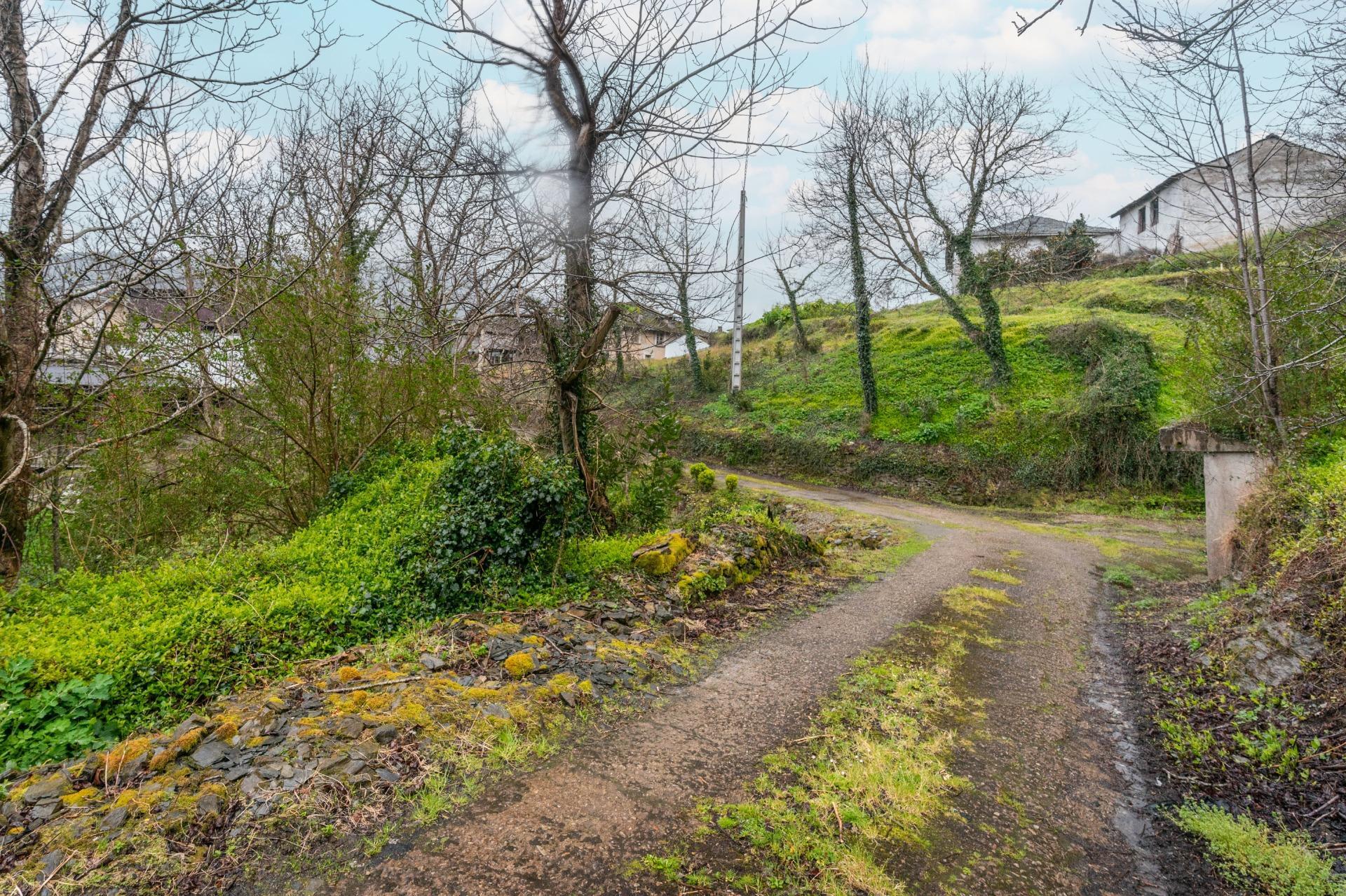 Pisos-Venta-ValdÃ©s-1683576-Foto-82