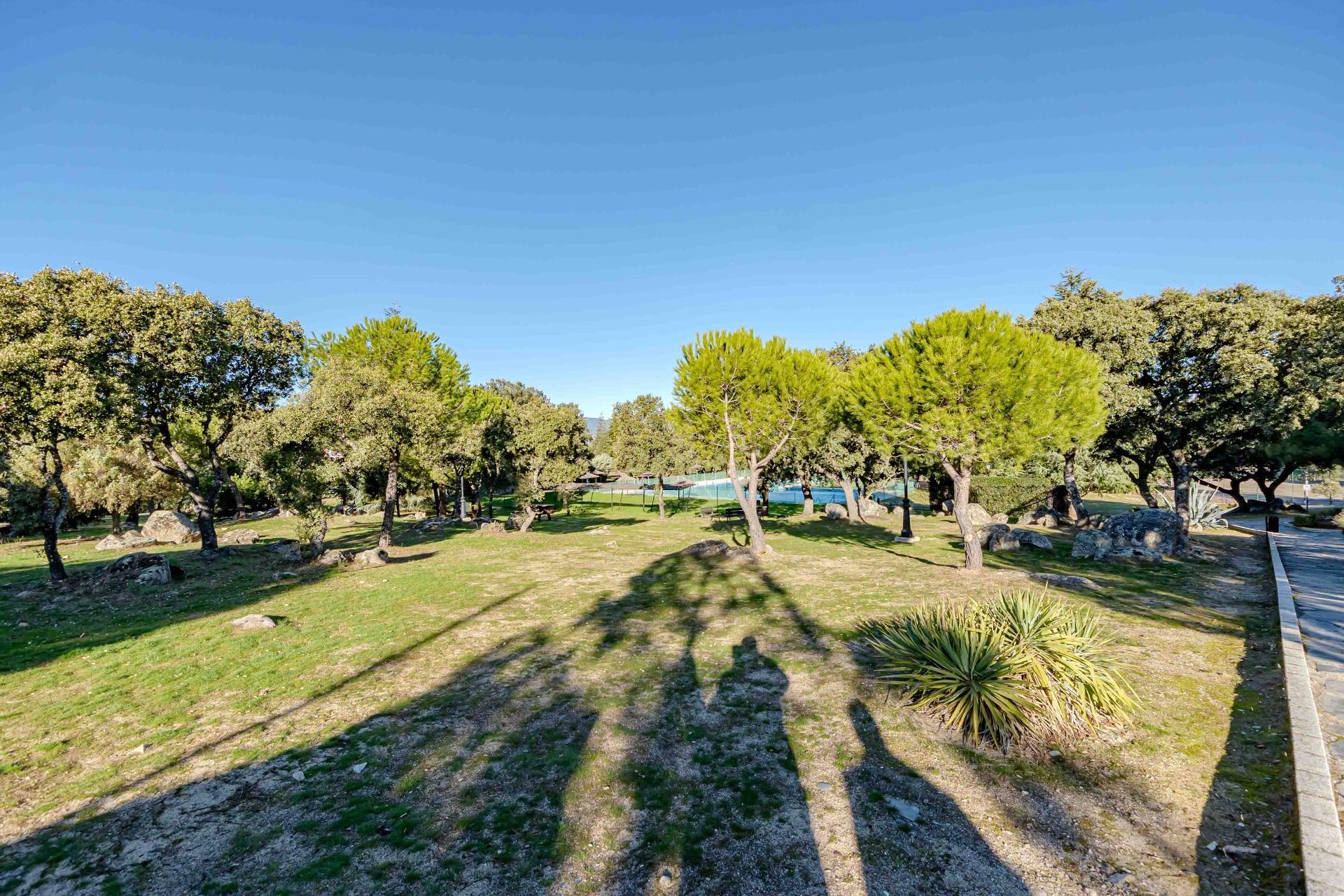 Casas o chalets-Venta-Valdemorillo-1995258-Foto-48