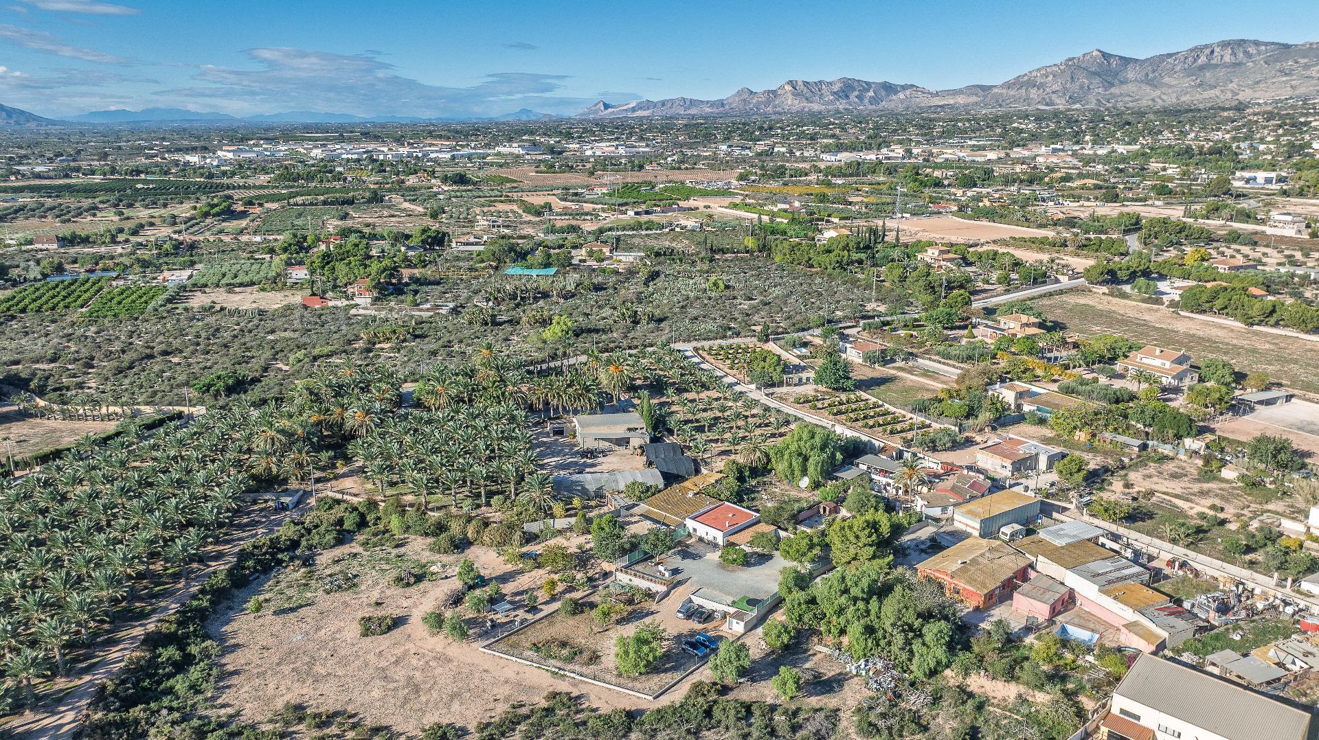 Casas o chalets-Venta-Crevillent-1995261-Foto-14