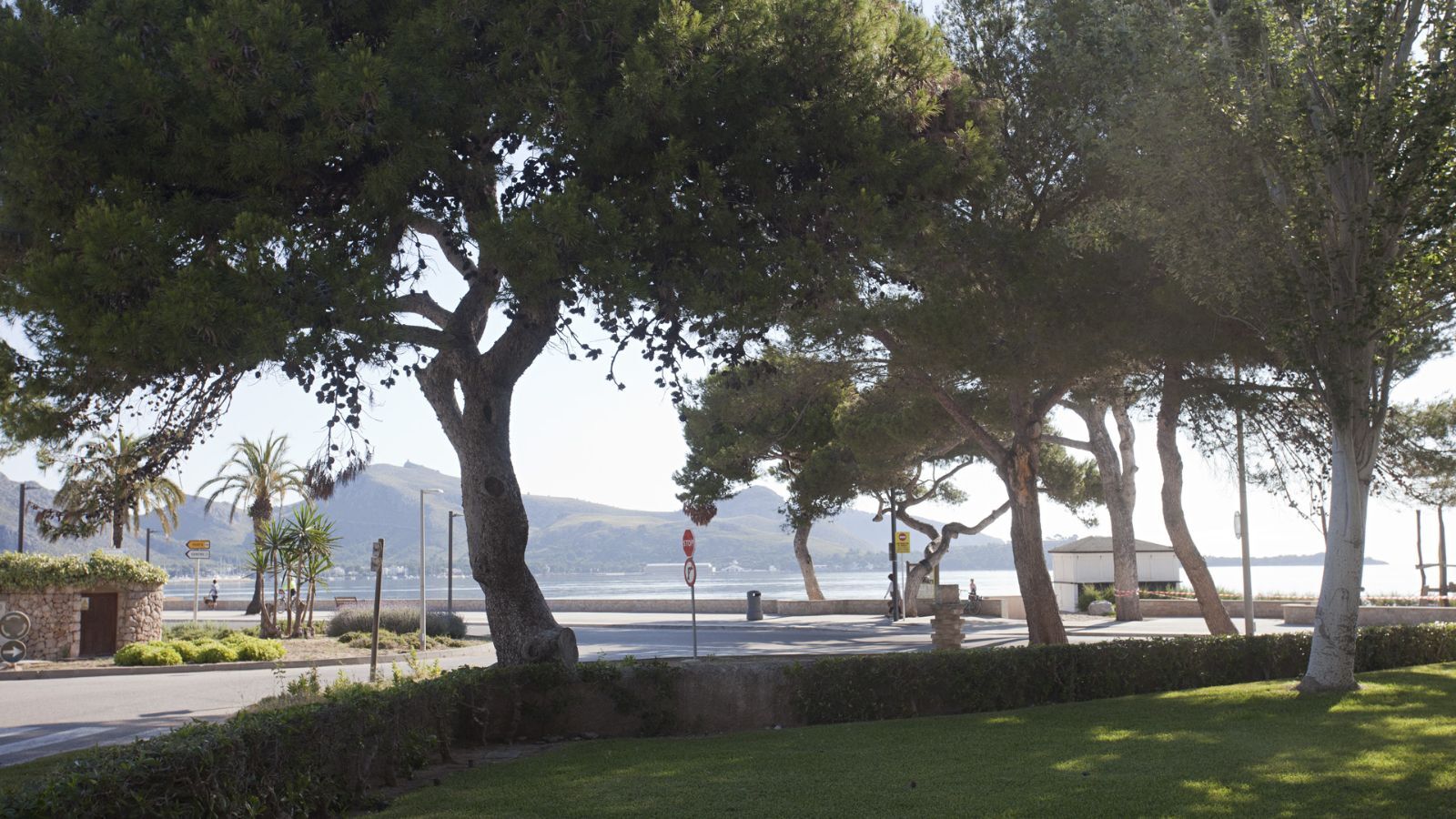 Locales-Venta-PollenÃ§a-1993529-Foto-16