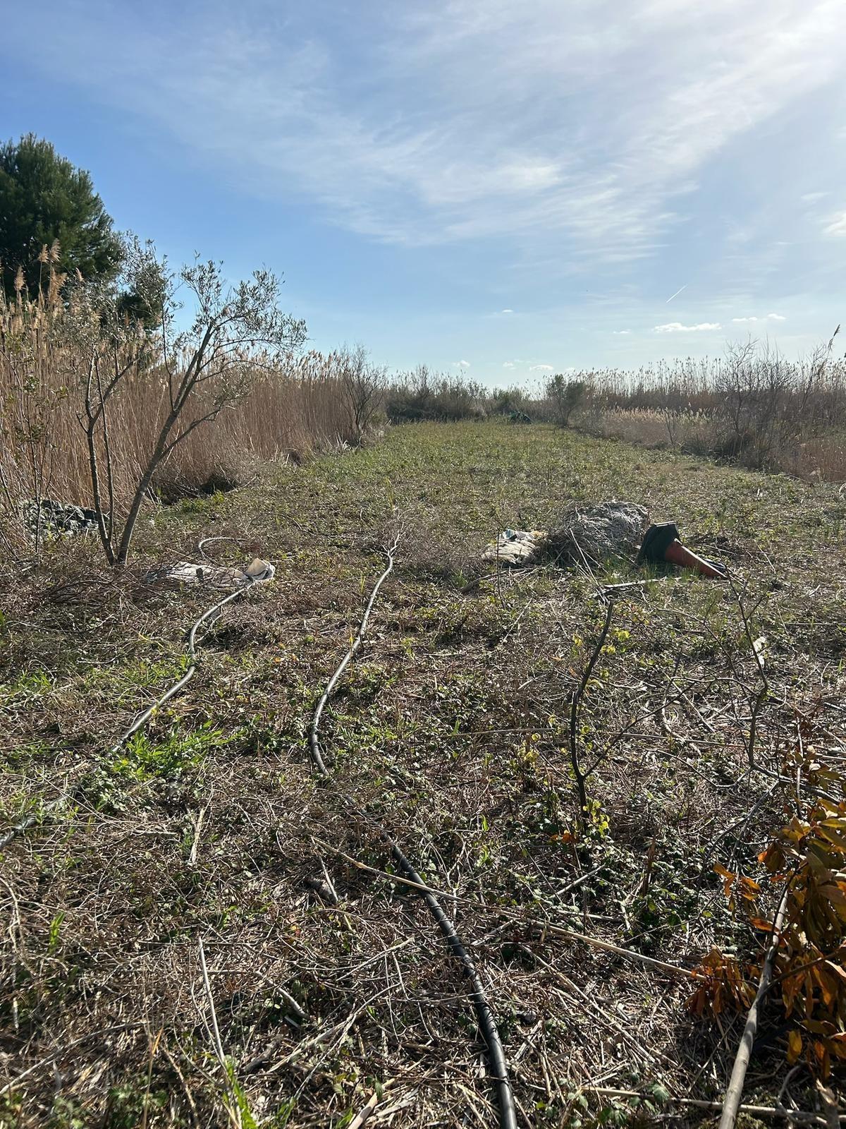 Fincas y solares-Venta-Sa Pobla-2009096-Foto-3