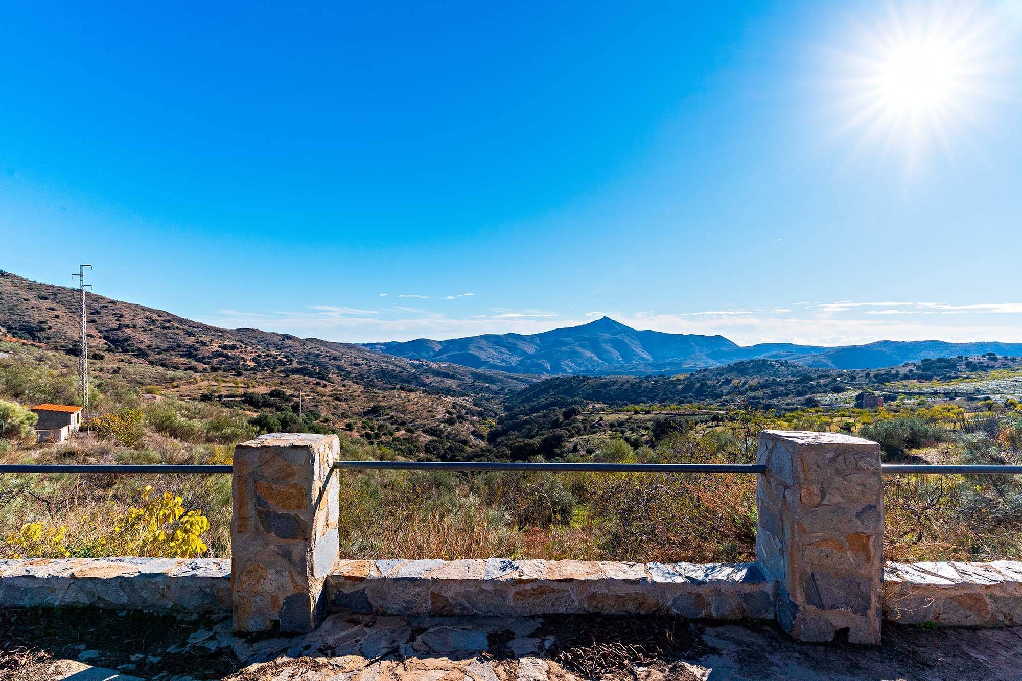 Pisos-Venta-Alcudia de Monteagud-1995618-Foto-22