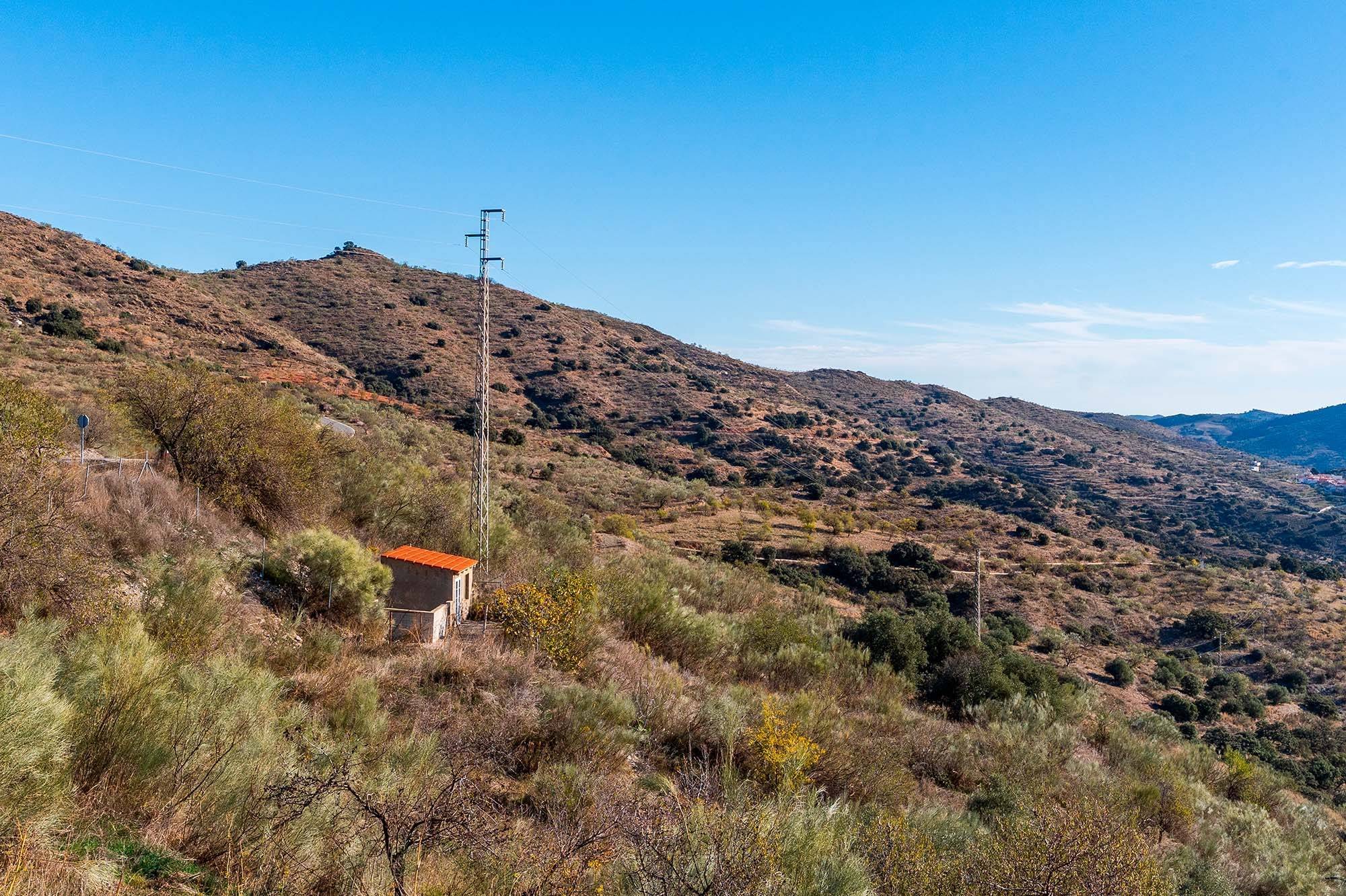 Pisos-Venta-Alcudia de Monteagud-1995618-Foto-23