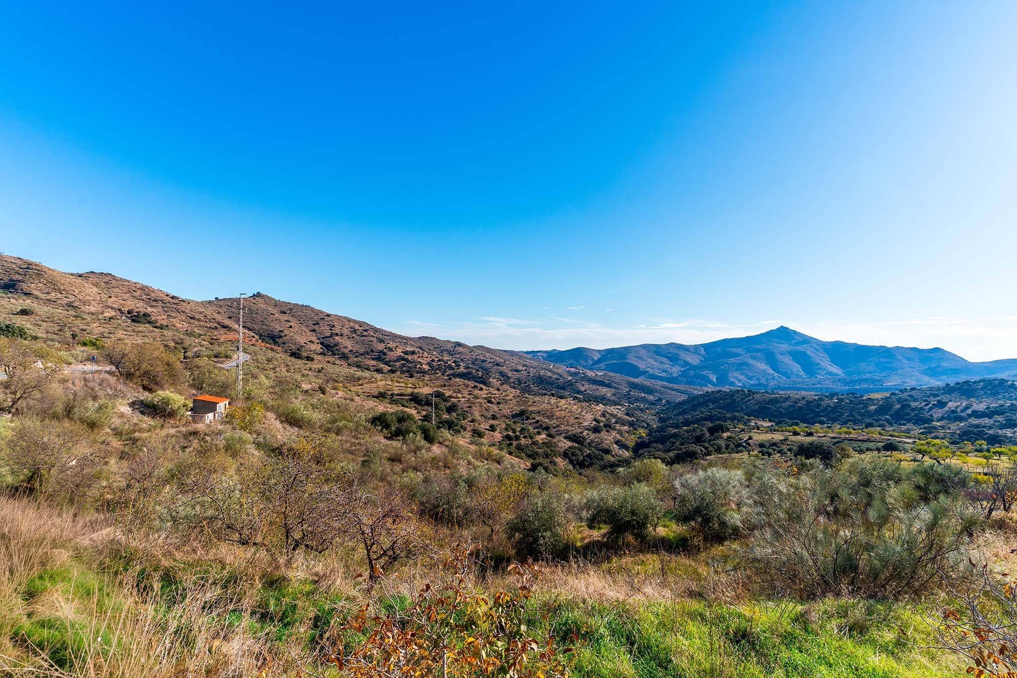 Pisos-Venta-Alcudia de Monteagud-1995618-Foto-25