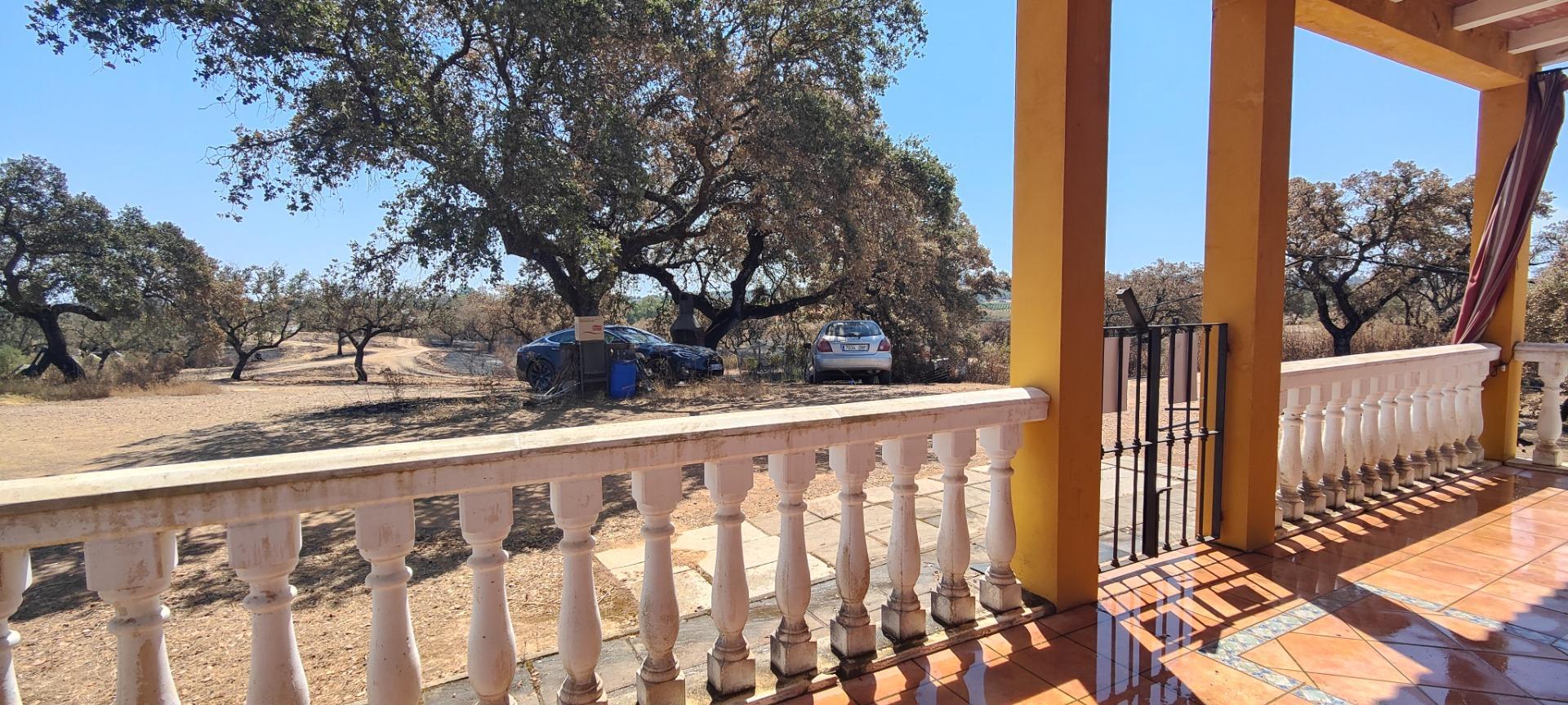 Pisos-Venta-San BartolomÃ© de la Torre-1866787-Foto-9