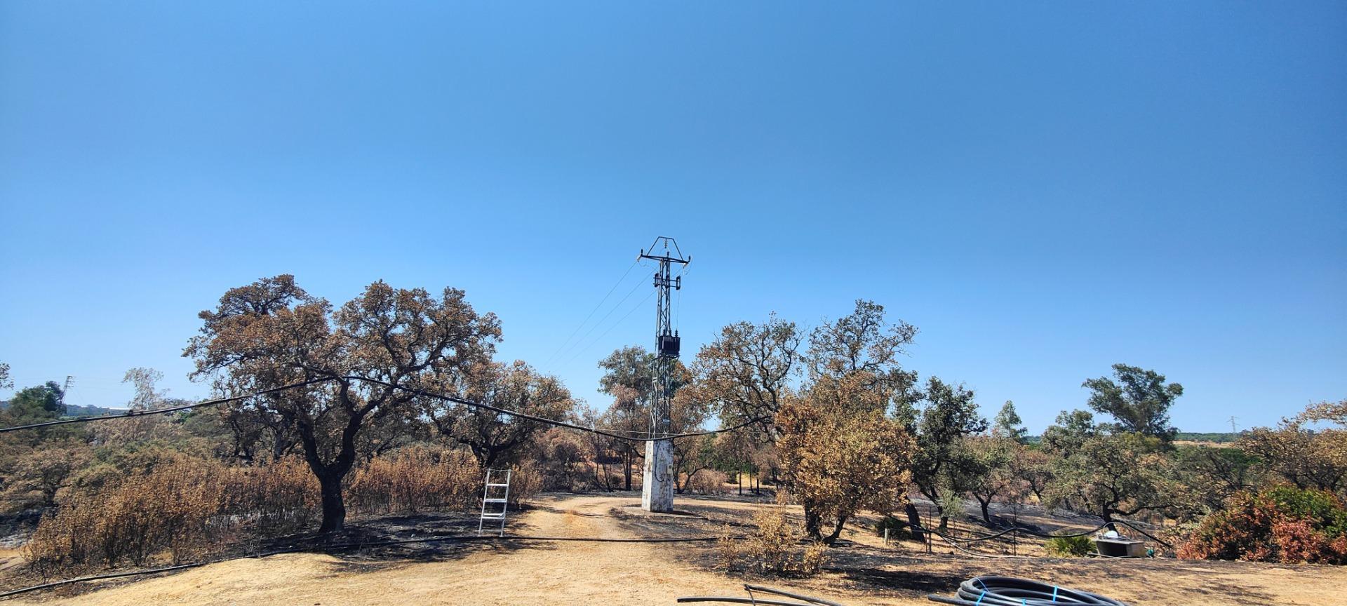 Pisos-Venta-San BartolomÃ© de la Torre-1866787-Foto-31
