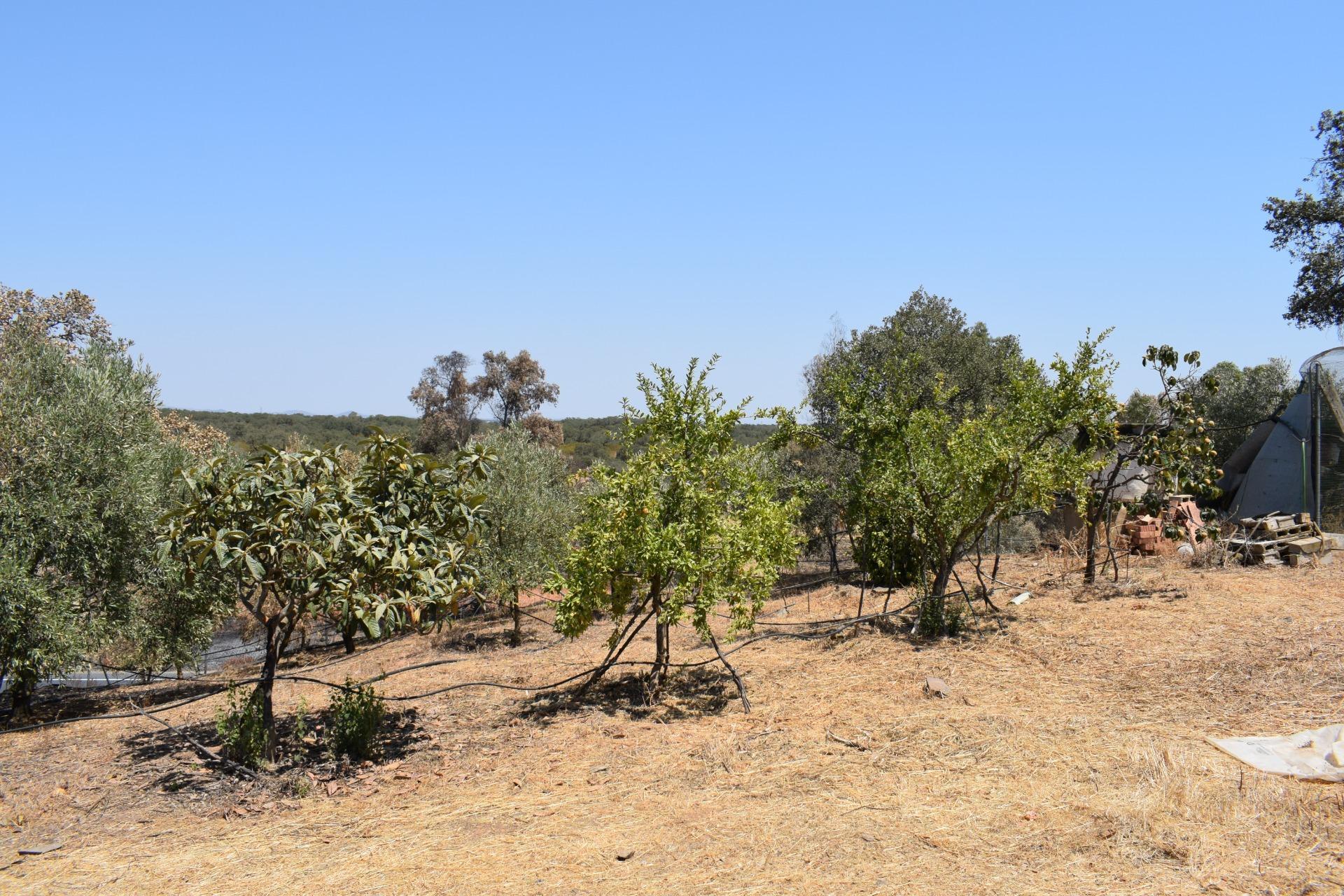 Pisos-Venta-San BartolomÃ© de la Torre-1866787-Foto-34