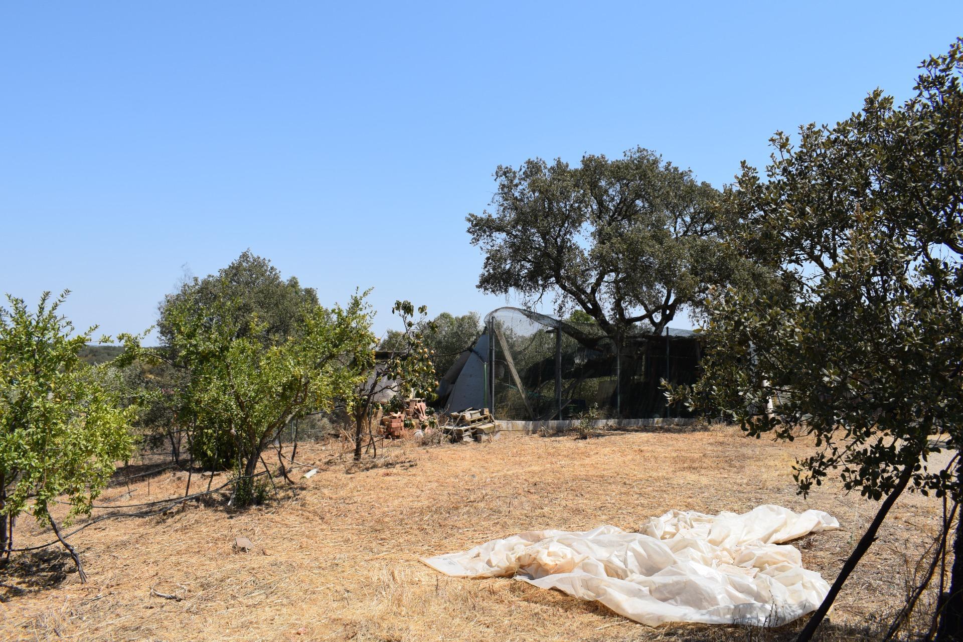 Pisos-Venta-San BartolomÃ© de la Torre-1866787-Foto-35