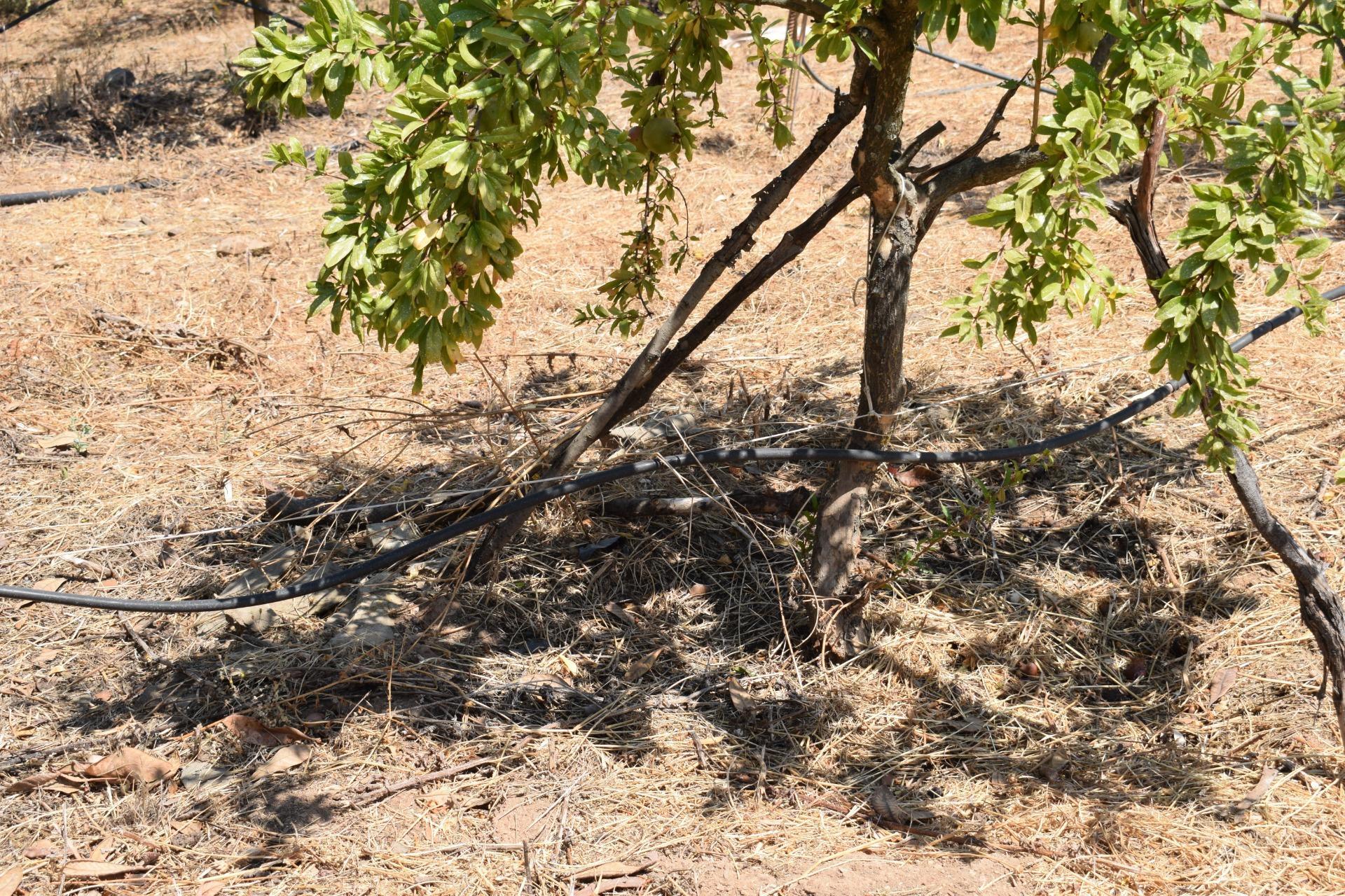 Pisos-Venta-San BartolomÃ© de la Torre-1866787-Foto-37
