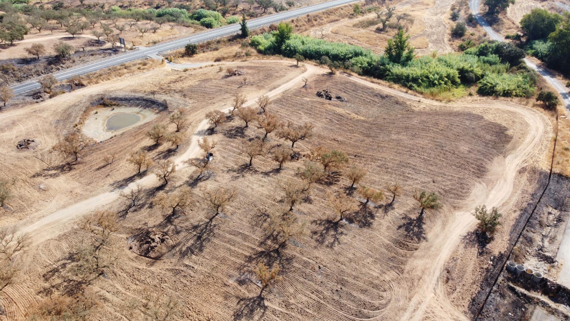 Pisos-Venta-San BartolomÃ© de la Torre-1866787-Foto-45