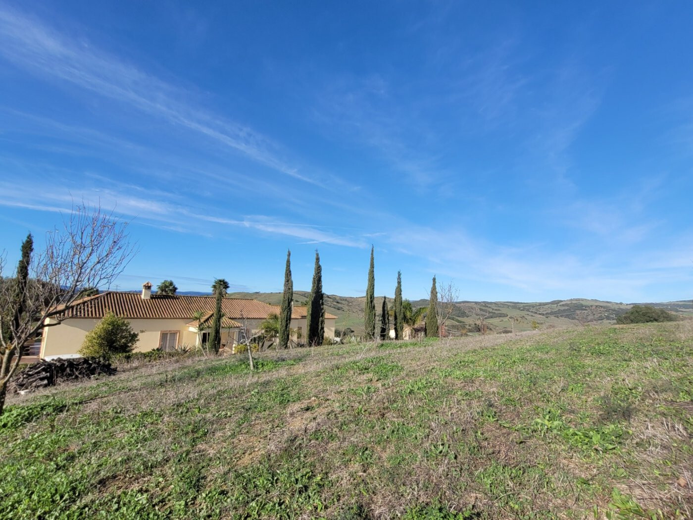 Casas o chalets-Venta-San Martin del Tesorillo-1832517-Foto-13