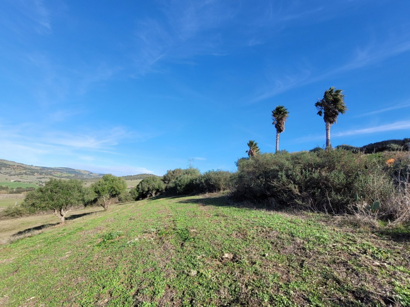 Casas o chalets-Venta-San Martin del Tesorillo-1832517-Foto-21