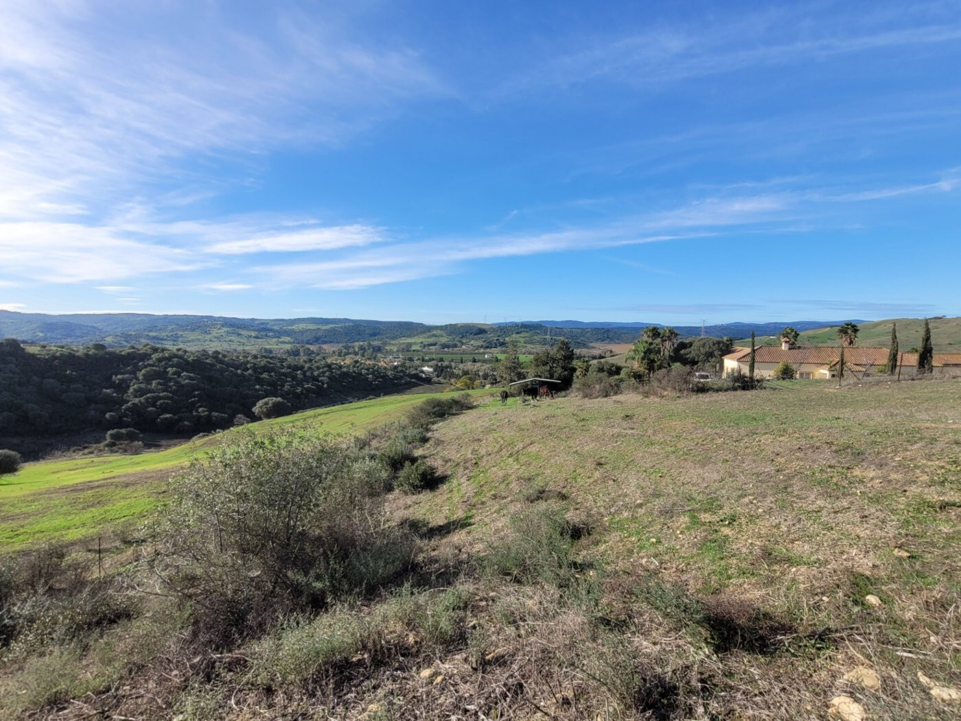 Casas o chalets-Venta-San Martin del Tesorillo-1832517-Foto-20