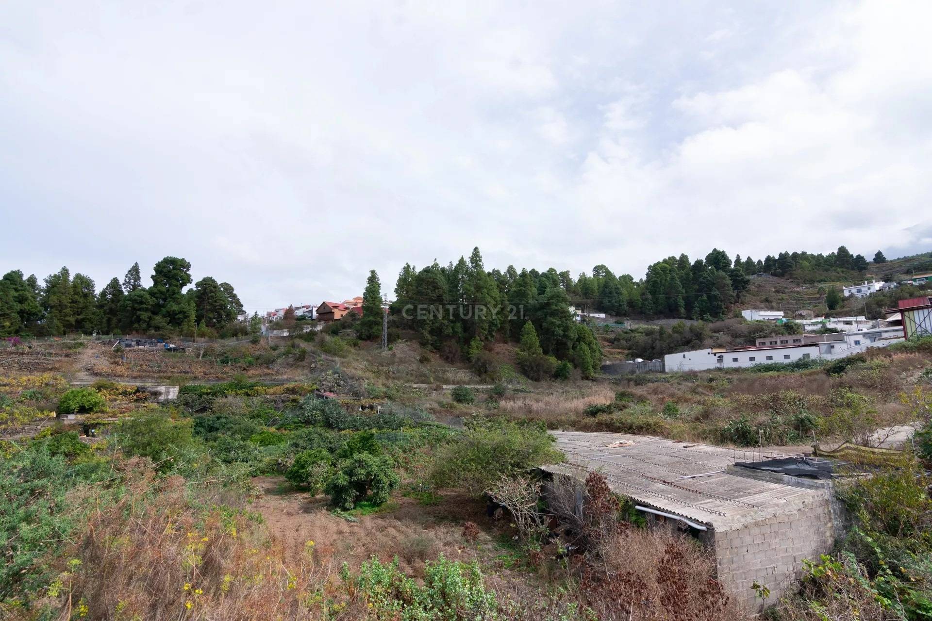 Fincas y solares-Venta-Icod de los Vinos-1713161-Foto-5