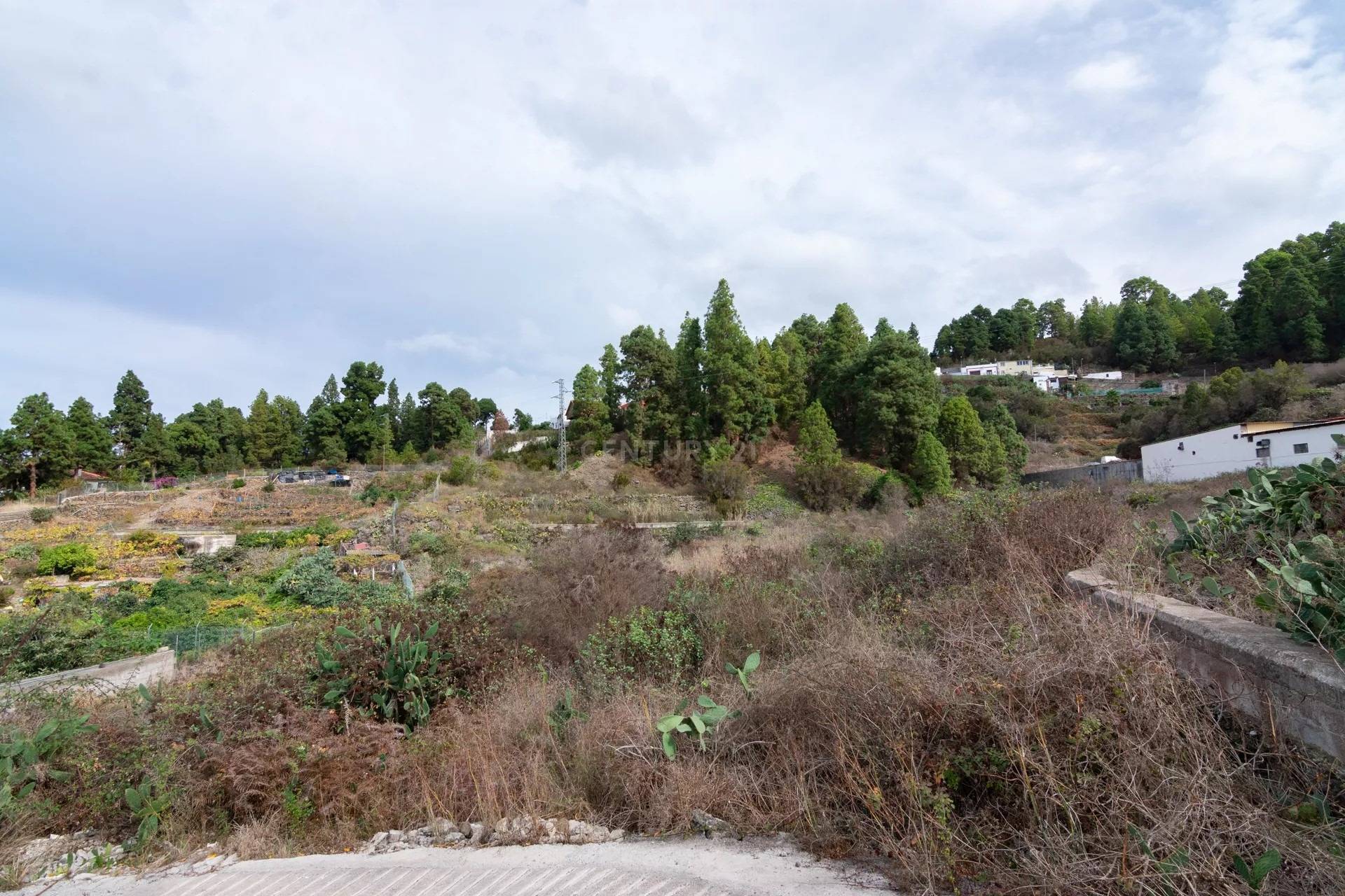 Fincas y solares-Venta-Icod de los Vinos-1713161-Foto-7