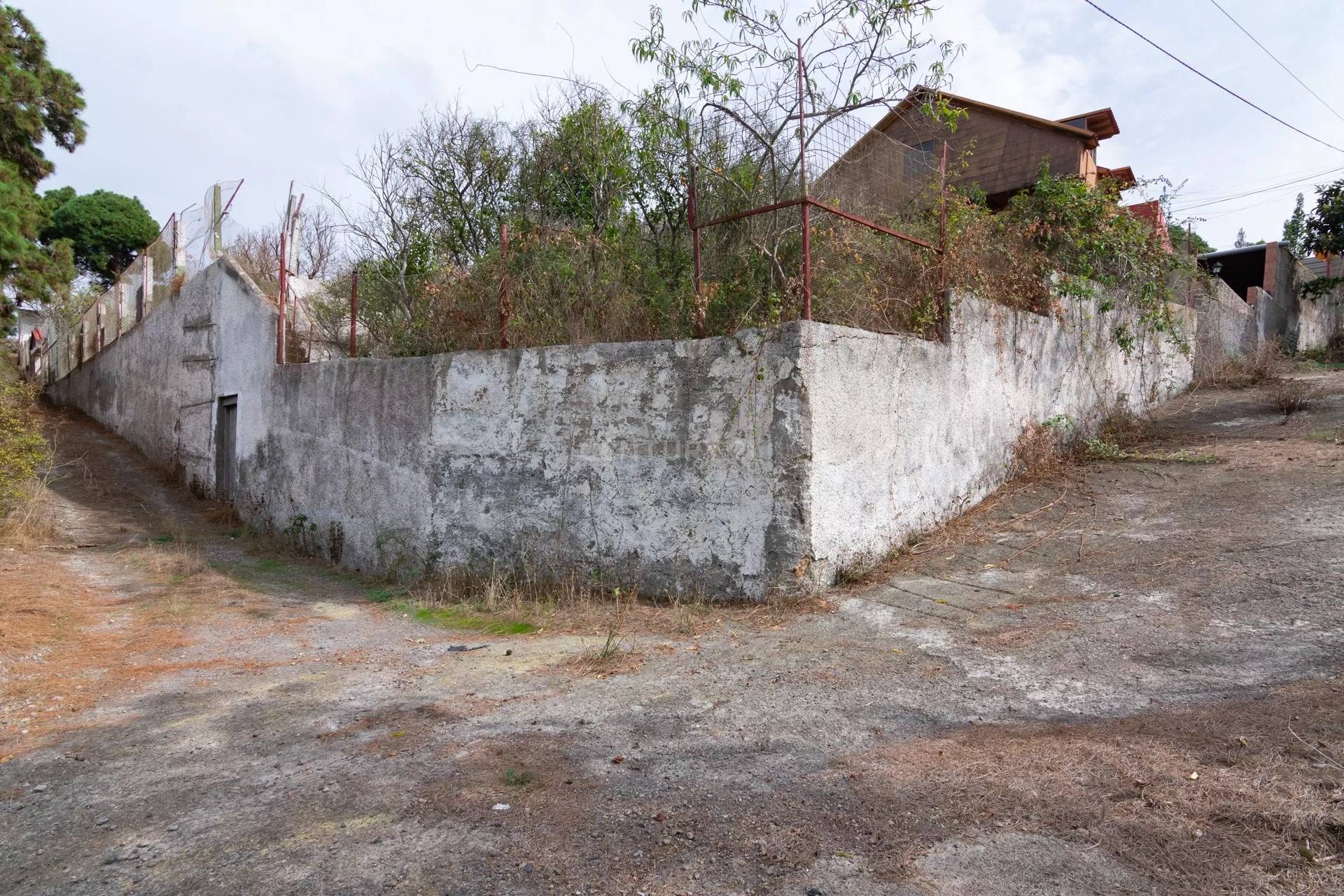 Fincas y solares-Venta-Icod de los Vinos-1713161-Foto-9