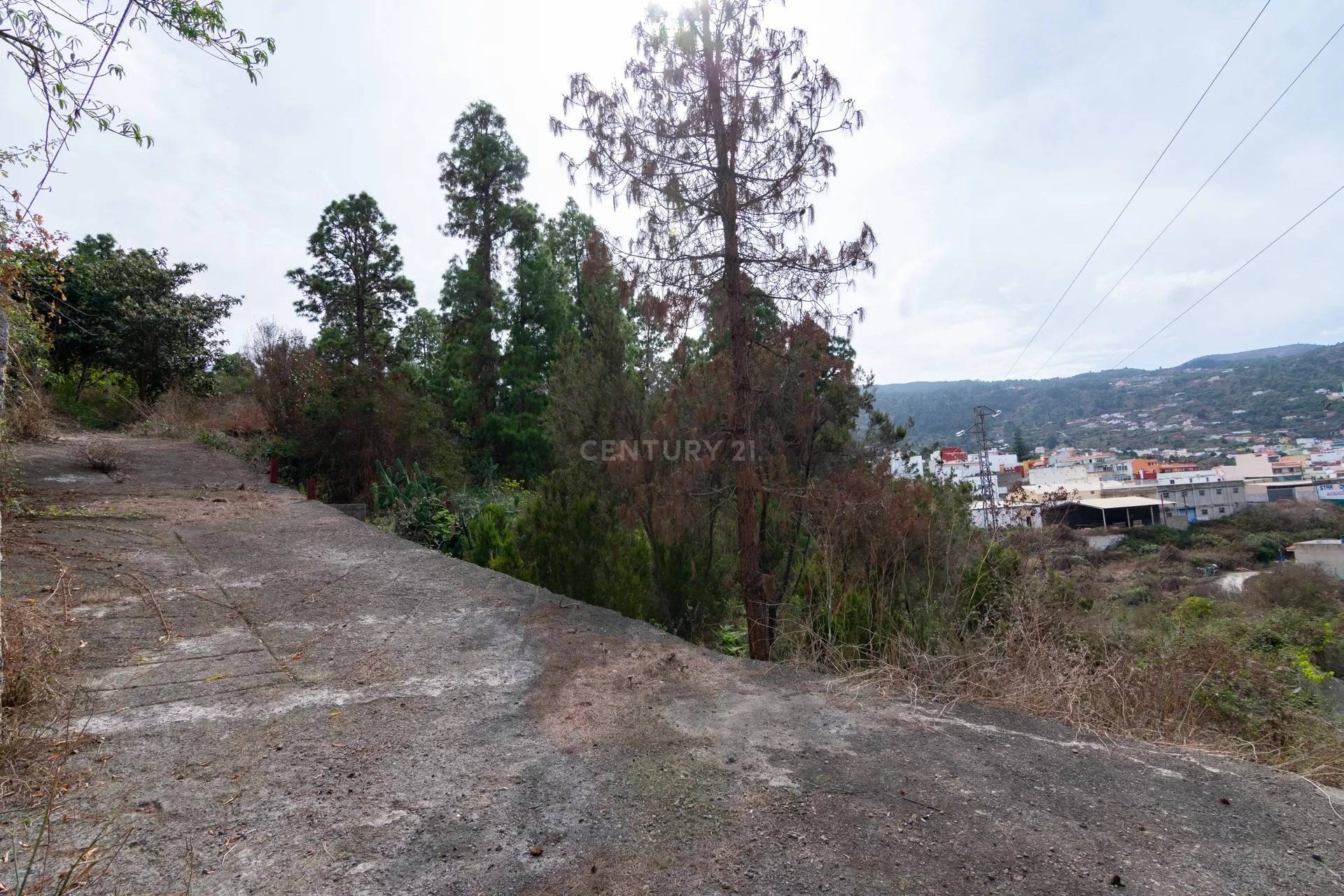 Fincas y solares-Venta-Icod de los Vinos-1713161-Foto-11