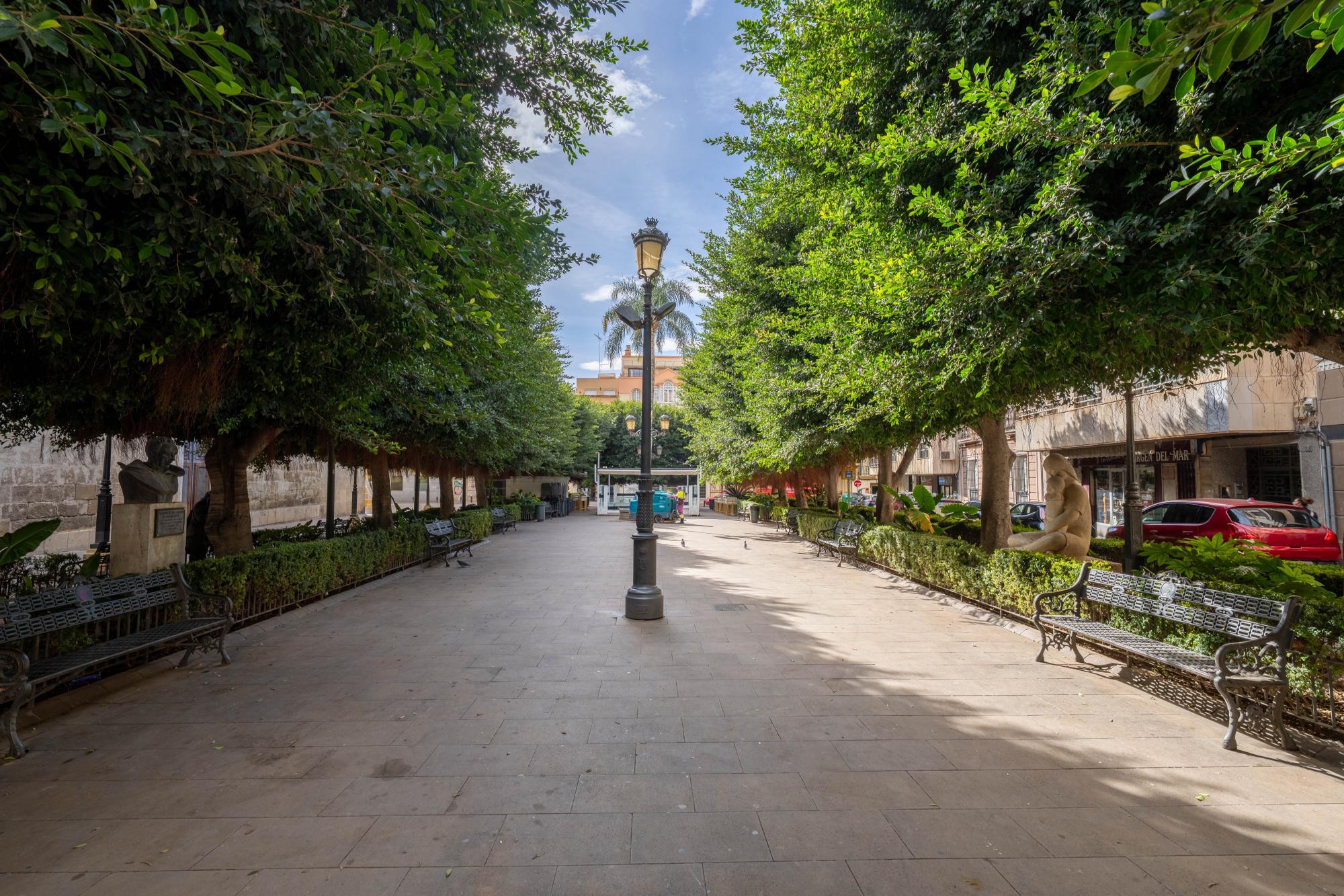 Pisos-Venta-AlmerÃ­a-1995654-Foto-18