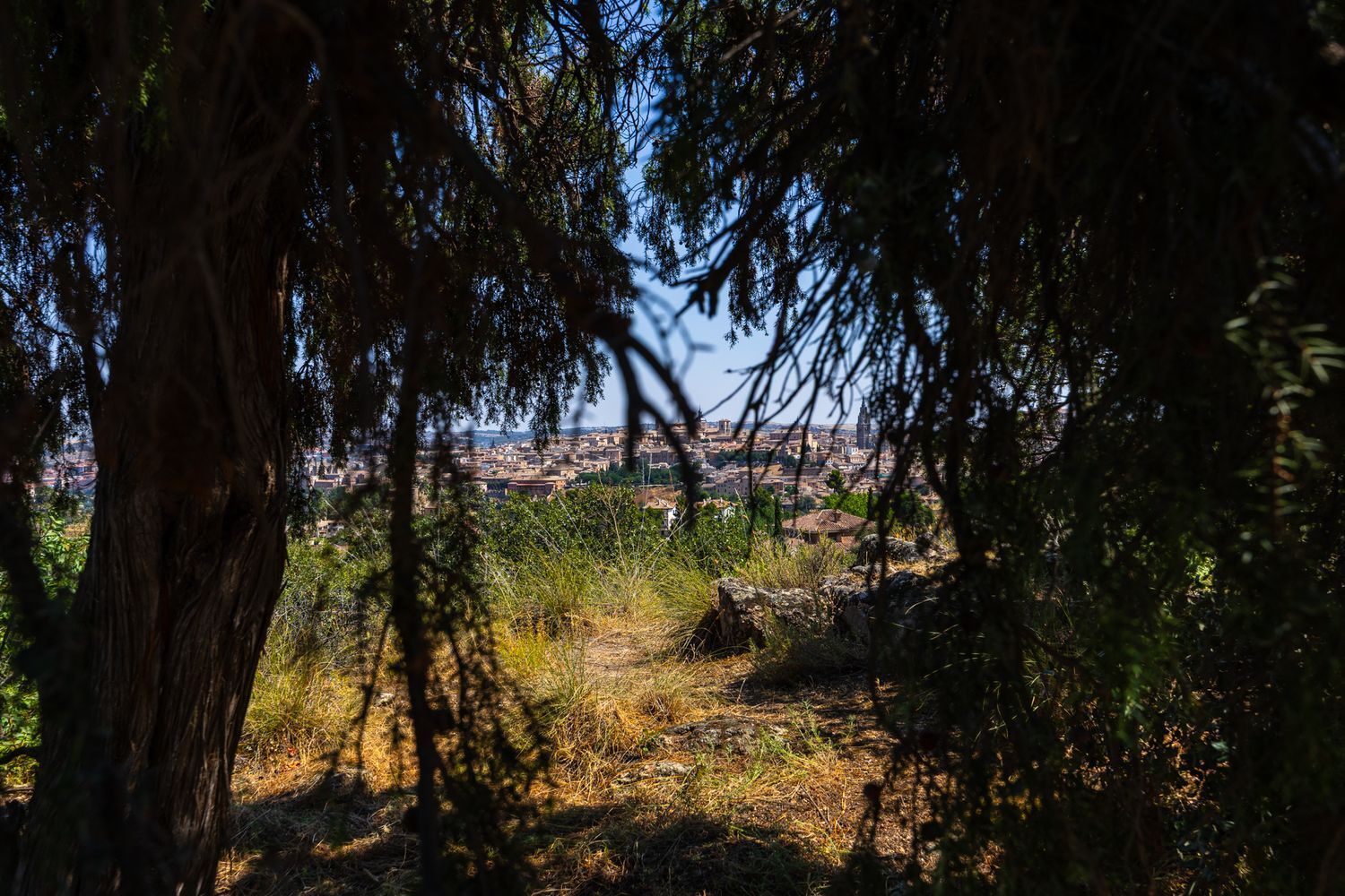 Fincas y solares-Venta-Toledo-1476741-Foto-4