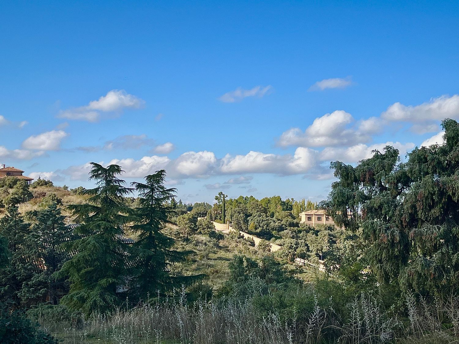 Fincas y solares-Venta-Toledo-1476741-Foto-11