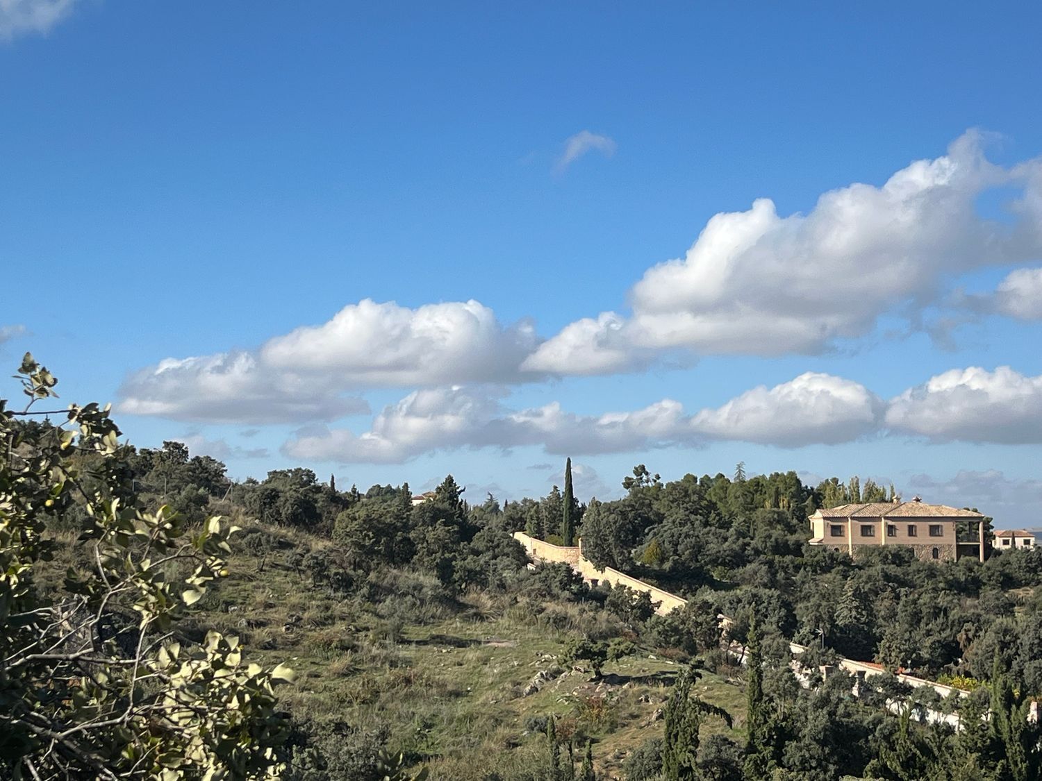 Fincas y solares-Venta-Toledo-1476741-Foto-14