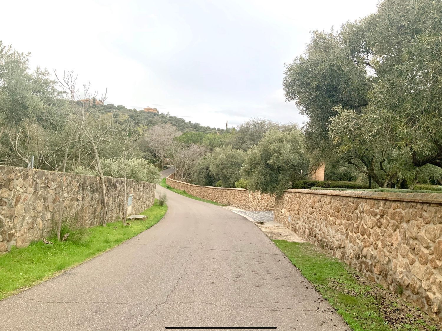 Fincas y solares-Venta-Toledo-1476741-Foto-22