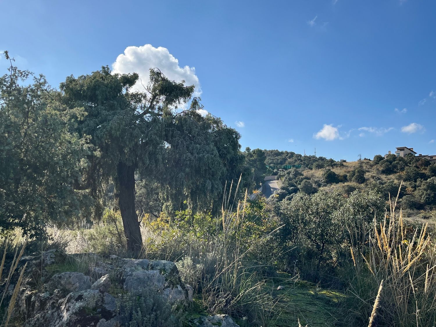 Fincas y solares-Venta-Toledo-1476741-Foto-23