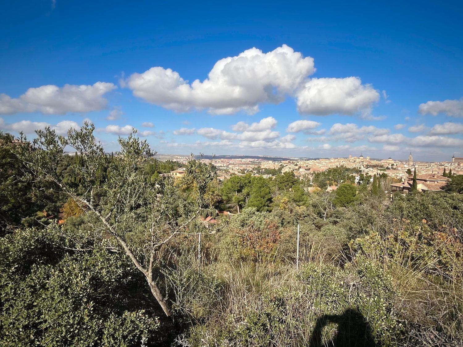 Fincas y solares-Venta-Toledo-1476741-Foto-32