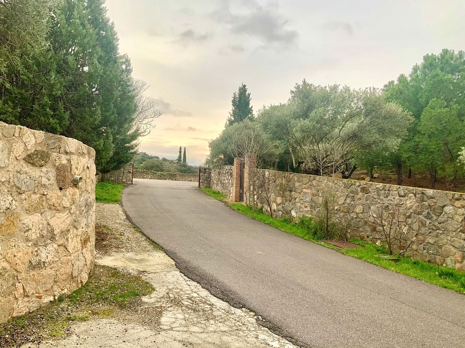 Fincas y solares-Venta-Toledo-1476741-Foto-36