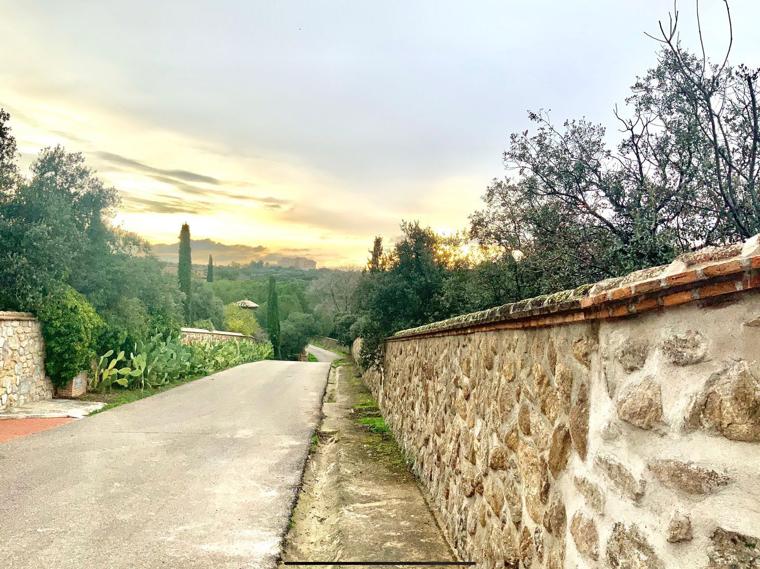 Fincas y solares-Venta-Toledo-1476741-Foto-39