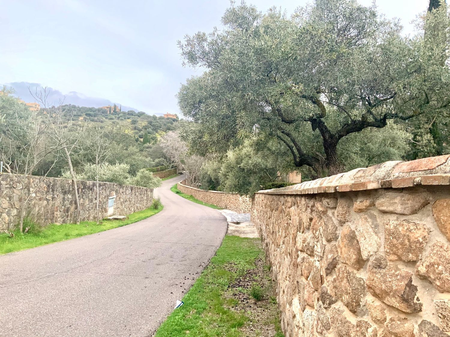 Fincas y solares-Venta-Toledo-1476741-Foto-37