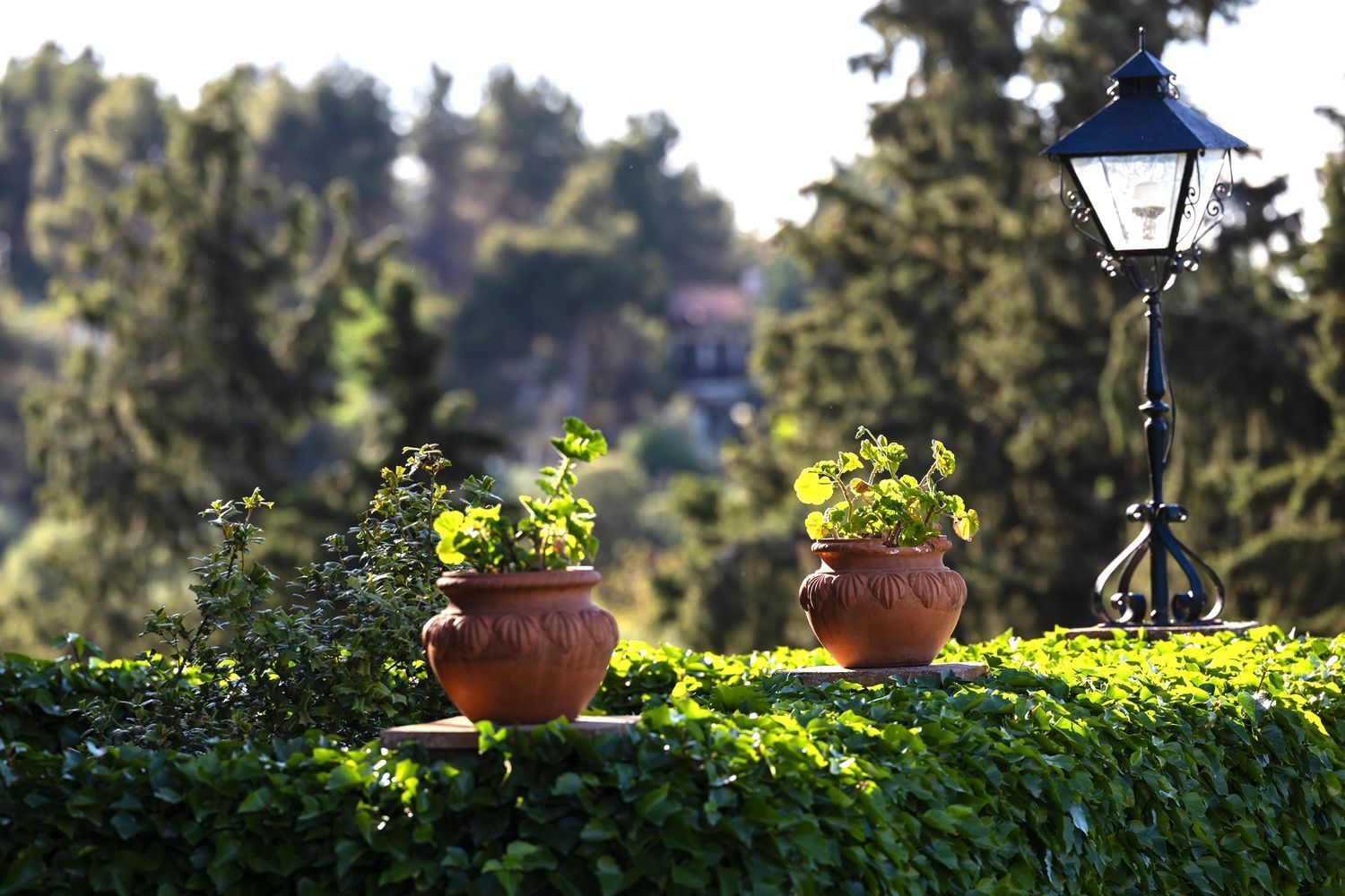 Casas o chalets-Venta-Toledo-1745647-Foto-58