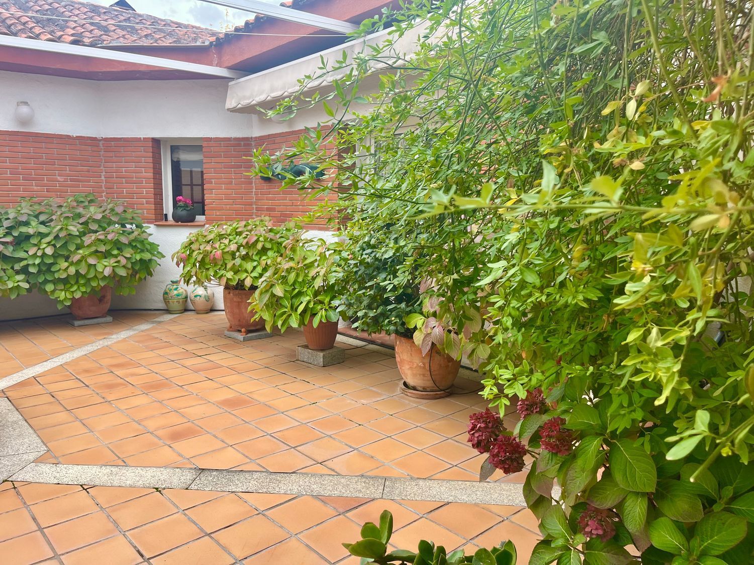 Casas o chalets-Venta-ArgÃ©s-1978381-Foto-28