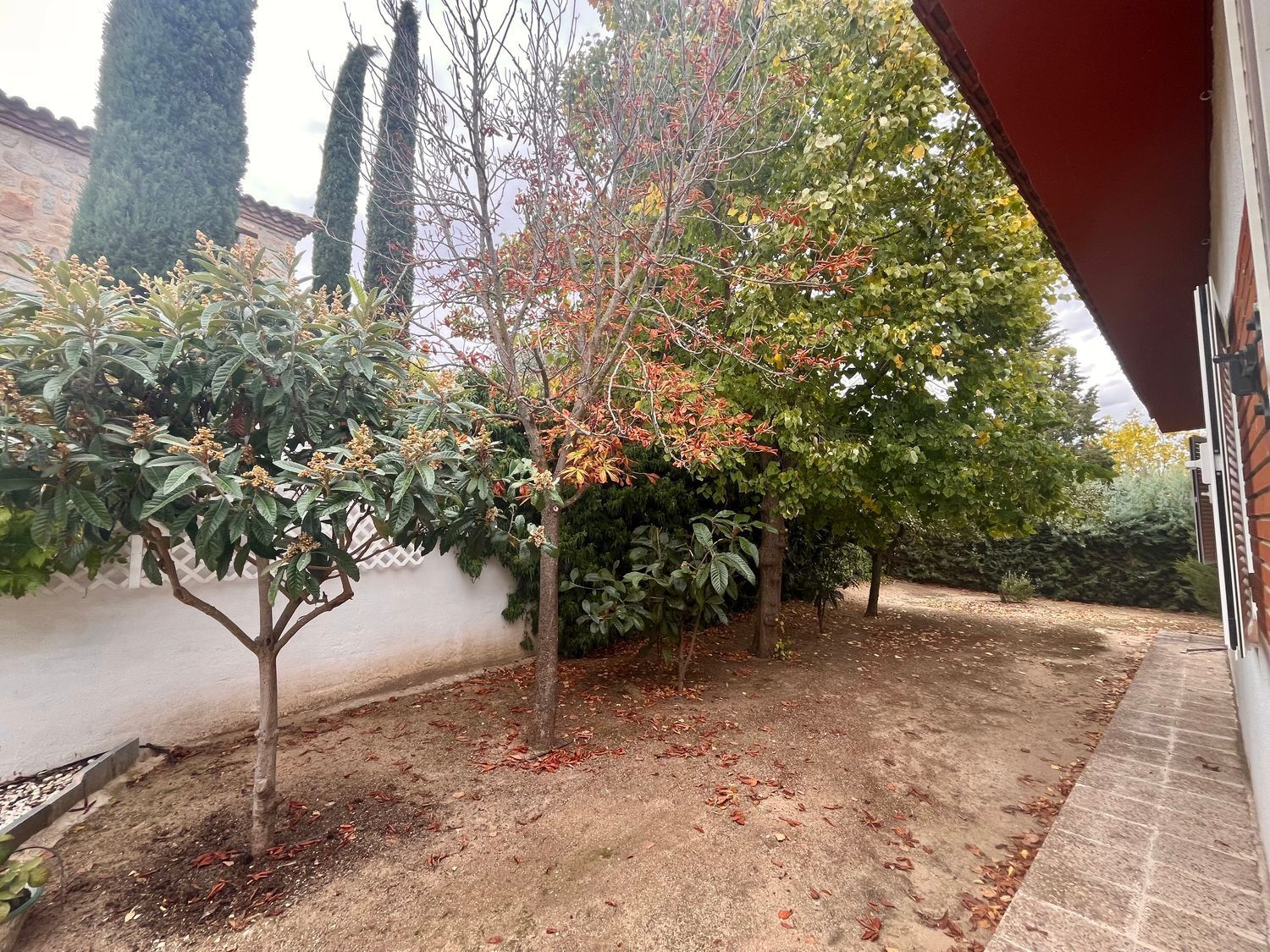 Casas o chalets-Venta-ArgÃ©s-1978381-Foto-31