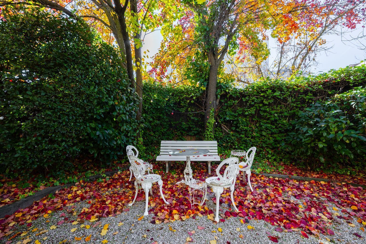 Pisos-Alquiler-Madrid-1995183-Foto-8