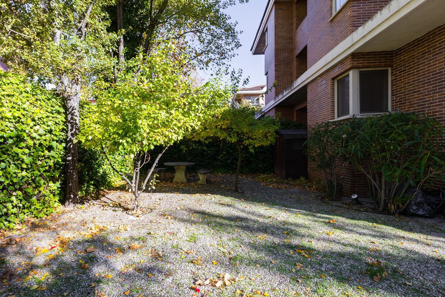 Pisos-Alquiler-Madrid-1995183-Foto-52