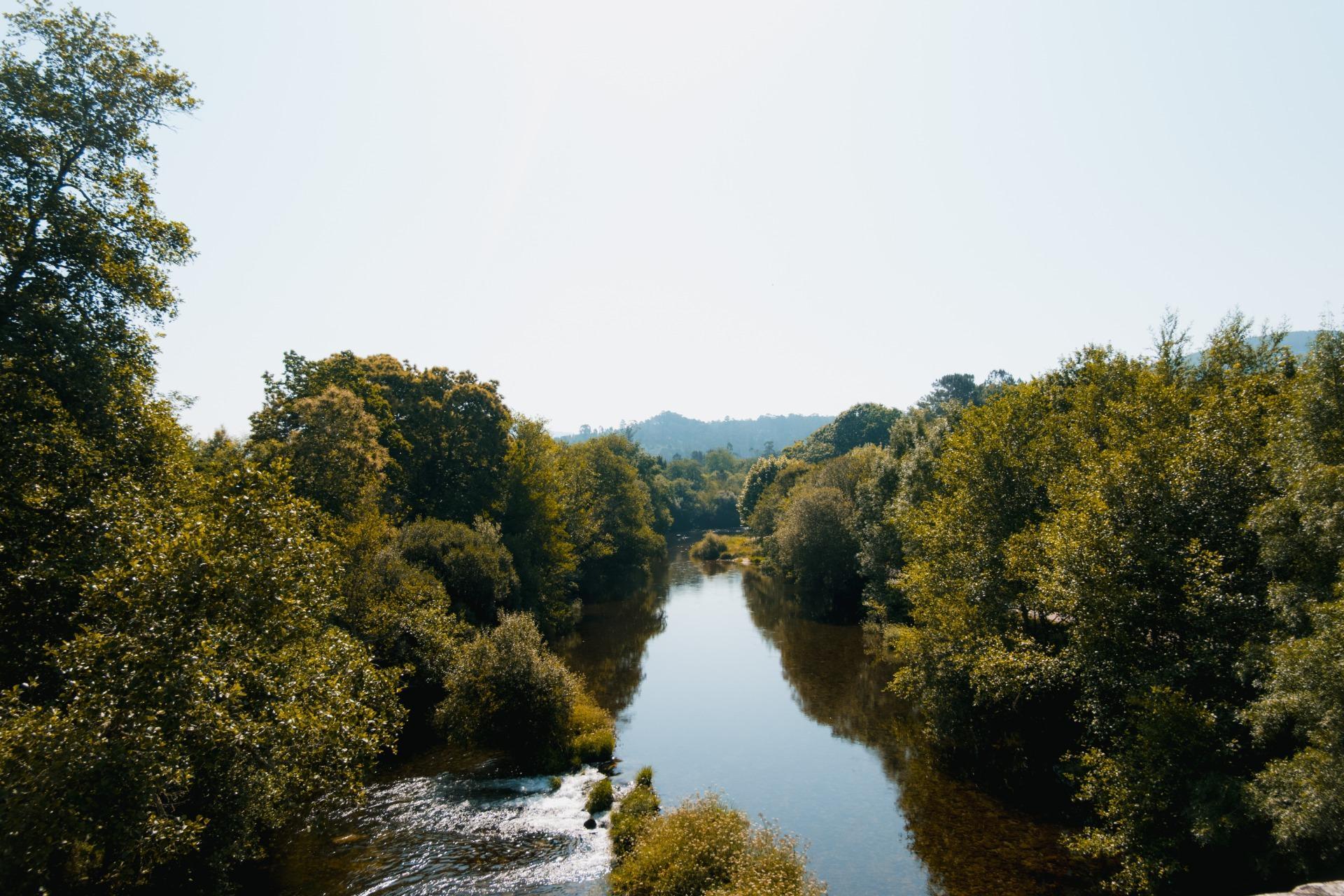 Casas o chalets-Venta-Mondariz-1865053-Foto-56