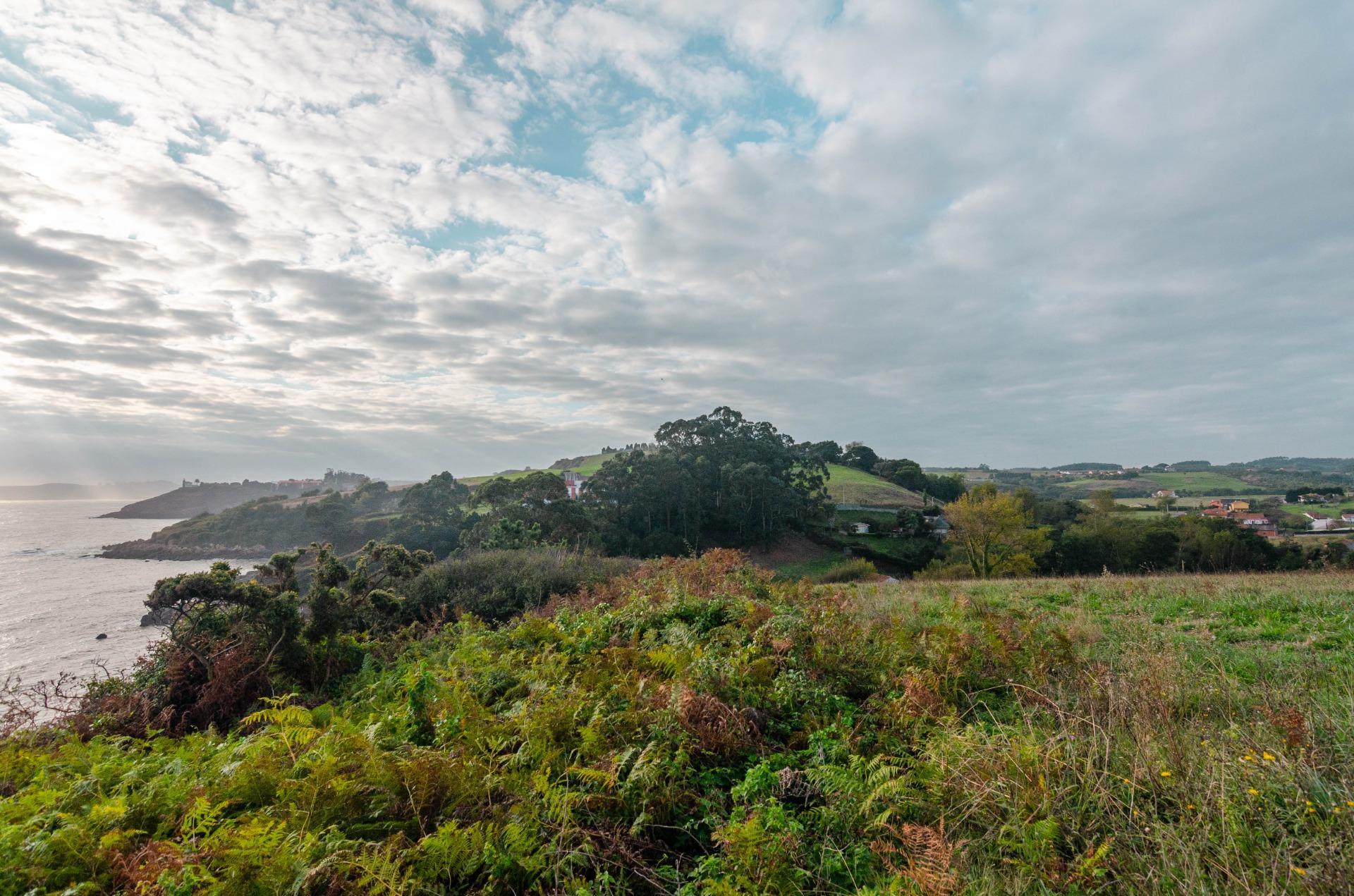 Casas o chalets-Venta-GozÃ³n-1887340-Foto-43