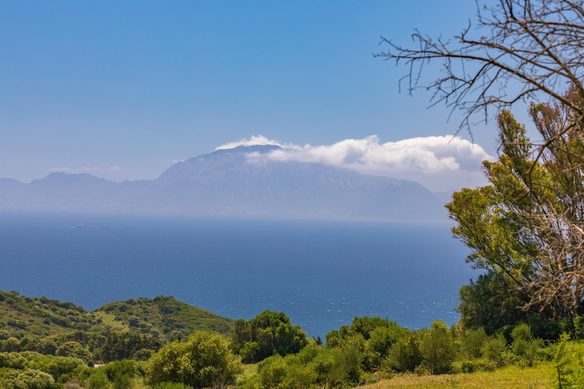 Pisos-Venta-Tarifa-1835347-Foto-4