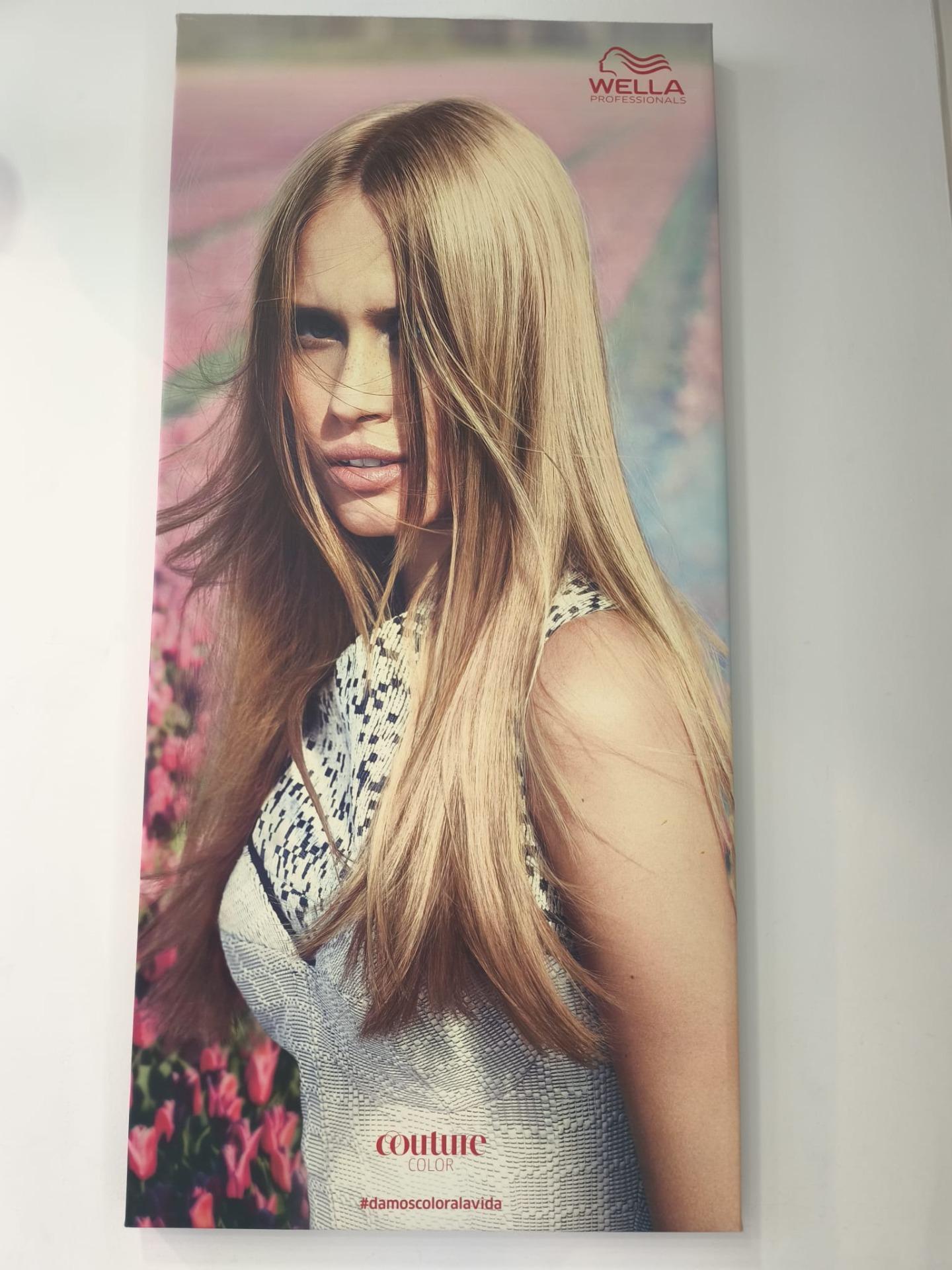 Negocios-Venta-Ferrol-2009075-Foto-33