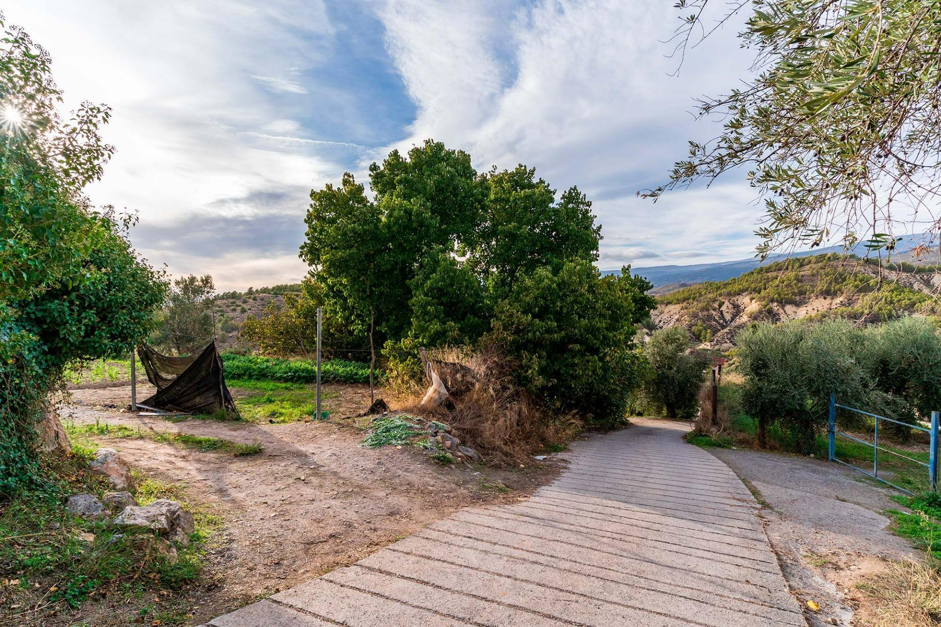 Fincas y solares-Venta-2009081