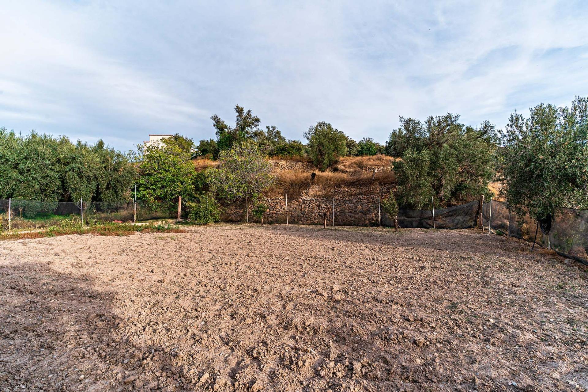 Fincas y solares-Venta-Alcolea-2009081-Foto-2