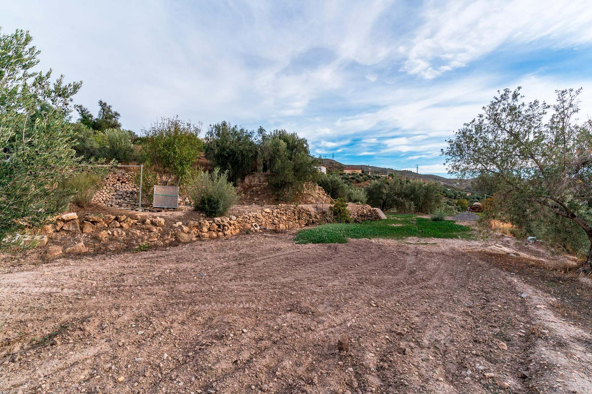 Fincas y solares-Venta-Alcolea-2009081-Foto-7