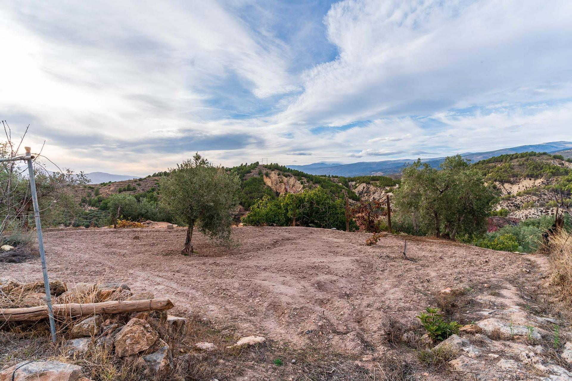 Fincas y solares-Venta-Alcolea-2009081-Foto-9