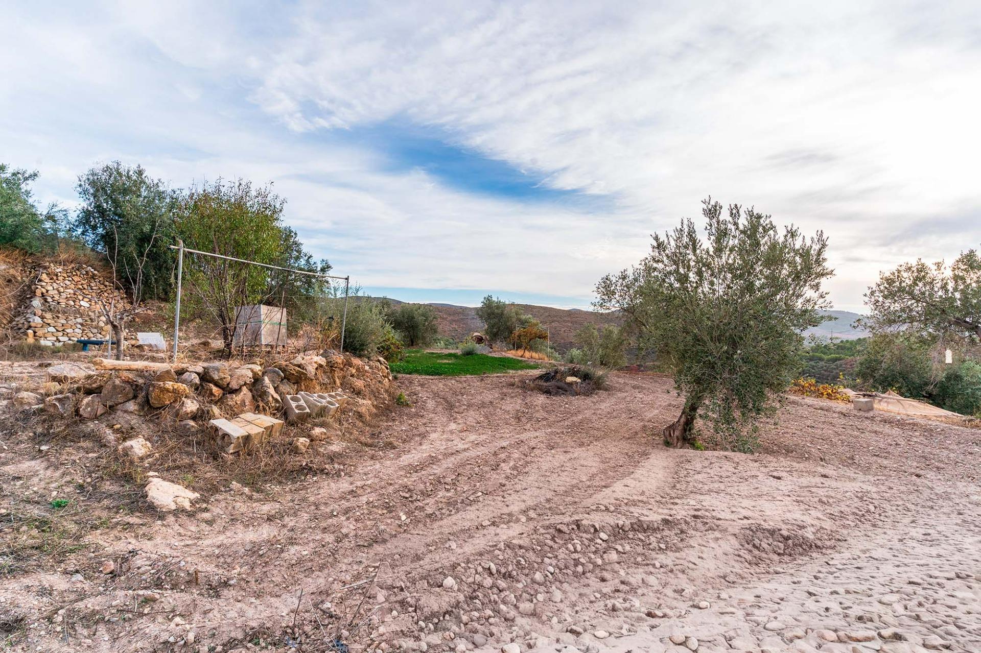 Fincas y solares-Venta-Alcolea-2009081-Foto-8